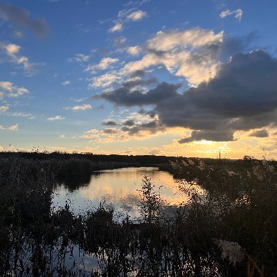 The Catchment Partnership for the Marsh Dykes and Thamesmead area, with a vision for sustainable wildlife-rich waterways for future generations.