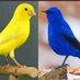 murat06 (@murat0695397762) Twitter profile photo murat06 (@murat0695397762) Twitter profile photo
