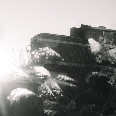 halle_naiii's profile picture. でんしゃ歴短め