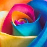 Mirela Popa (@taimlab) 's Twitter Profile Photo Mirela Popa (@taimlab) 's Twitter Profile Photo
