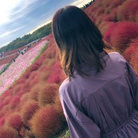 さと (@emu_bi5ex) 's Twitter Profile