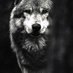 Kurt Kripto (@_kurtkripto_) Twitter profile photo Kurt Kripto (@_kurtkripto_) Twitter profile photo