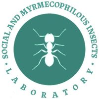 Social And Myrmecophilous Insects(@AntsWarsaw) 's Twitter Profile Photo