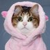 Cubby Bear (@candicub85) Twitter profile photo Cubby Bear (@candicub85) Twitter profile photo