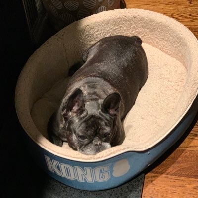 brookepember's profile picture. 