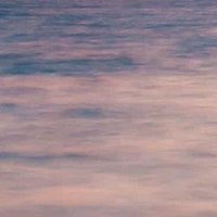 ゆう@検討中の場合返信遅くなります🙇‍♂️ (@yuuu_torihiki6) 's Twitter Profile