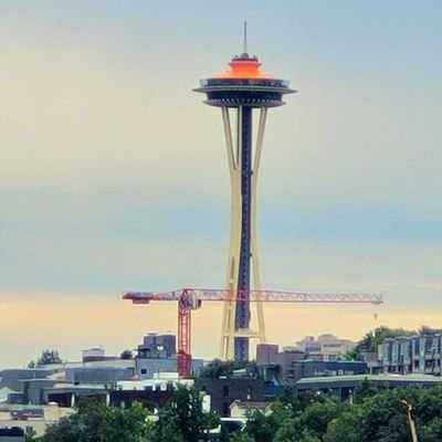 brilar71's profile picture. neglected