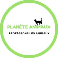 🌏 Planète Animaux (@animaux_planete) 's Twitter Profile Photo 🌏 Planète Animaux (@animaux_planete) 's Twitter Profile Photo