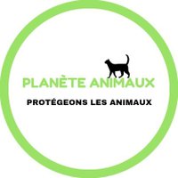 Planète Animaux 🌏(@animaux_planete) 's Twitter Profile Photo