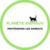 Planète Animaux 🌏 (@animaux_planete) Twitter profile photo