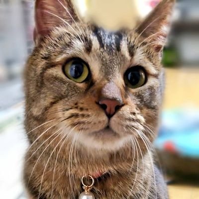 みつほさんのプロフィール画像