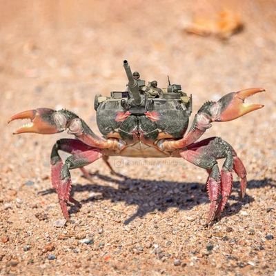 dikbro86's profile picture. ngecoooool