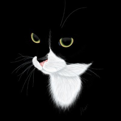 InsiderAndy's profile picture. $BTC $XNET holding | Inverse Jim Cramer | Not Inverse Nancy Pelosi |