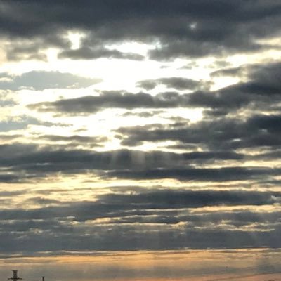 detteYT's profile picture. 