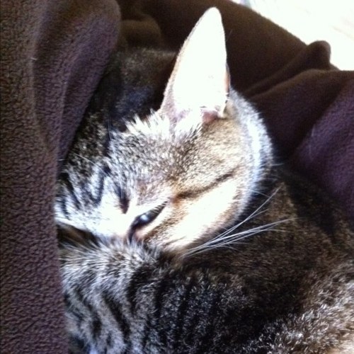 NBNickleby's profile picture. My sister (@NotBagels) started a blog. I may or may not be here against my will.