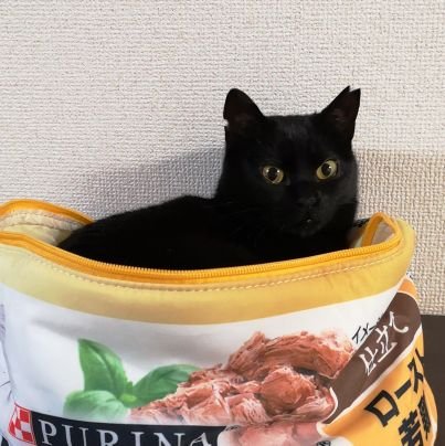 肉球ふぁんたじすたさんのプロフィール画像