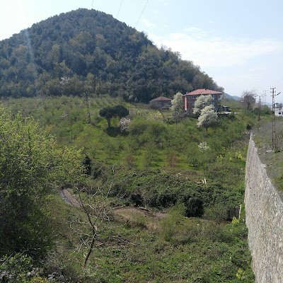 hseyiny92147068's profile picture. 