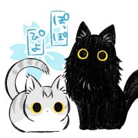 もふのいる生活 (@moftoikiru) 's Twitter Profile Photo もふのいる生活 (@moftoikiru) 's Twitter Profile Photo