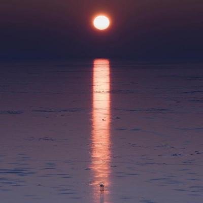 IqboljonHasan's profile picture. @IqboljonHasan