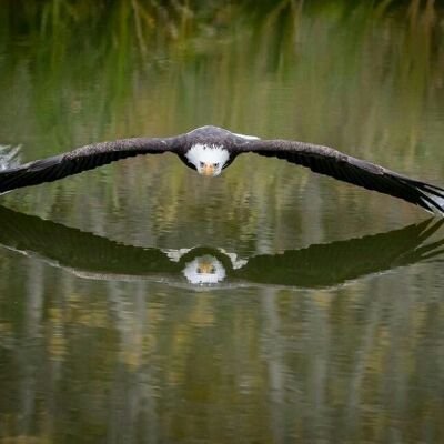 adeh_michael's profile picture. 