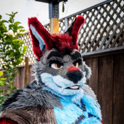 31yo wolf | @RumWolf Fursuiter | Mayhem Bringer | NSFW 🔞 | No RP | partner @Yukon_Wolf | banner @kibarinwolf