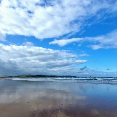 VM_Rocio081012's profile picture. 