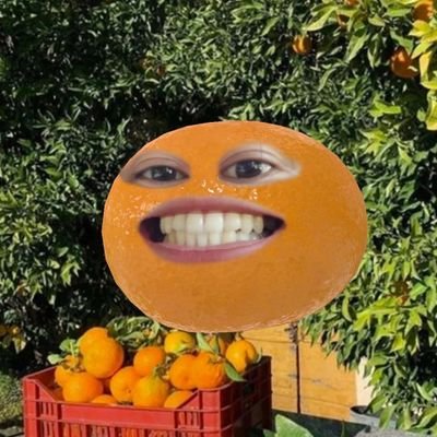 productcode78's profile picture. 