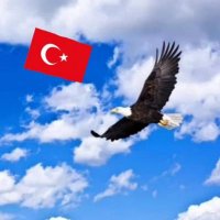 İsmail Kartalcı (@ismailkartalc) Twitter profile photo