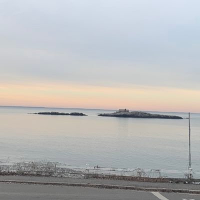 jeannemwind's profile picture. 