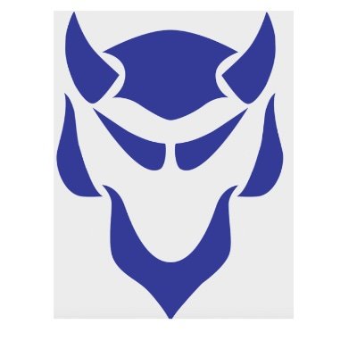 BXMNTBlueDevils Profile Picture