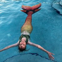 Paula Smiley (@paulasmiley5) 's Twitter Profile