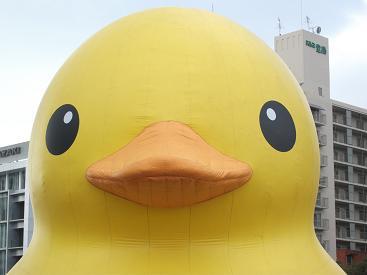 令和7年度、休業…と思ったら…週2、少しだけ。がんばりますね。