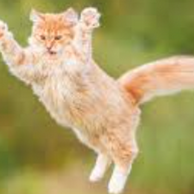 KaileeB28938970's profile picture. 