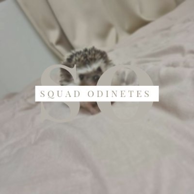 Se te seguimos é porque queremos
você no nosso Squad 🦔
PEDI IN NO FIXADO