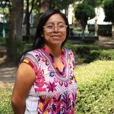 Representante por las comunidades indígenas en Estado dé Mexico Por la lucha de las clases sociales