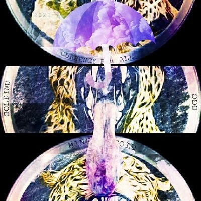 ZolaRoom1's profile picture. 