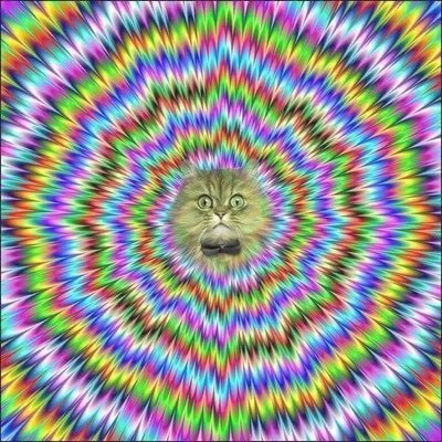 voidkimchi02's profile picture. cosmic inclusion