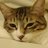 chiaki_thierry