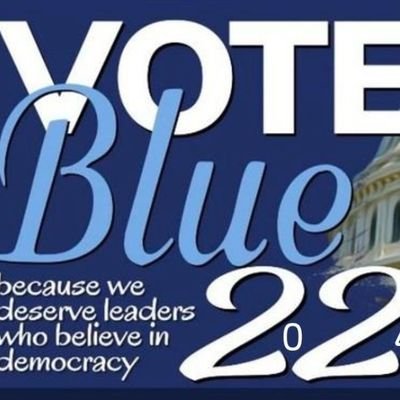 Vote_Blue_In_22 Profile Picture