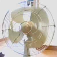 senpu-ki🍀༄ (@electrickazefan) 's Twitter Profile Photo senpu-ki🍀༄ (@electrickazefan) 's Twitter Profile Photo