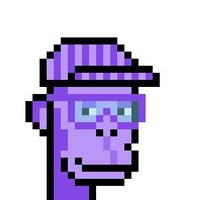 Polygon Ape Punks Club(@PolygonAPC) 's Twitter Profile Photo