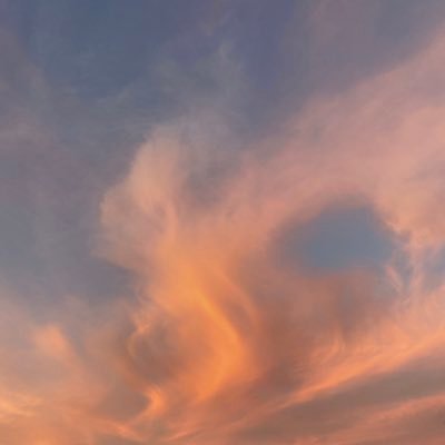 mazuzakita's profile picture. 