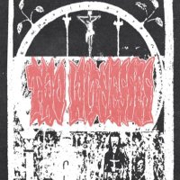 Two Witnesses (@twowitnesseshc) 's Twitter Profile