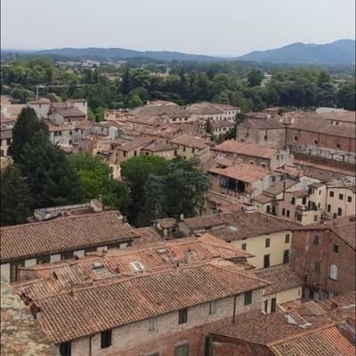 HannesMair8's profile picture. 