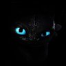 real_Elmin's profile picture. Just a learner