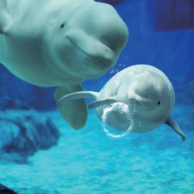 PYpx8VQI2IsEmS9's profile picture. 