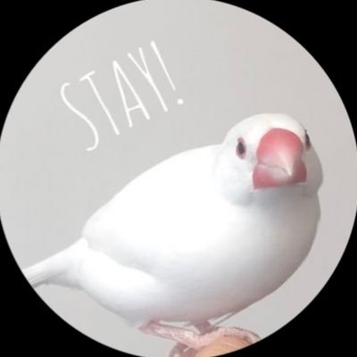 straykana1's profile picture. 基本ジニペン🥟でも箱推し since2020 /かなりMy Pace更新/ 現場は絶対押さえる勢