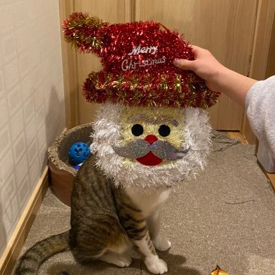 nnrrtiyo's profile picture. 漫画、アニメ、声優さん、音楽、ダンス、お笑い好き。面白いことが好きです。クズ龍専BUMPオタ。ダンスレッスン中。ネコ🐈‍⬛イヌ🐶好き。製菓してます。