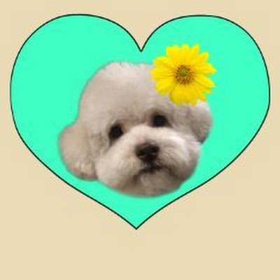 jsk5117's profile picture. 