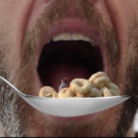Slave for Men (@hunger14143) 's Twitter Profile